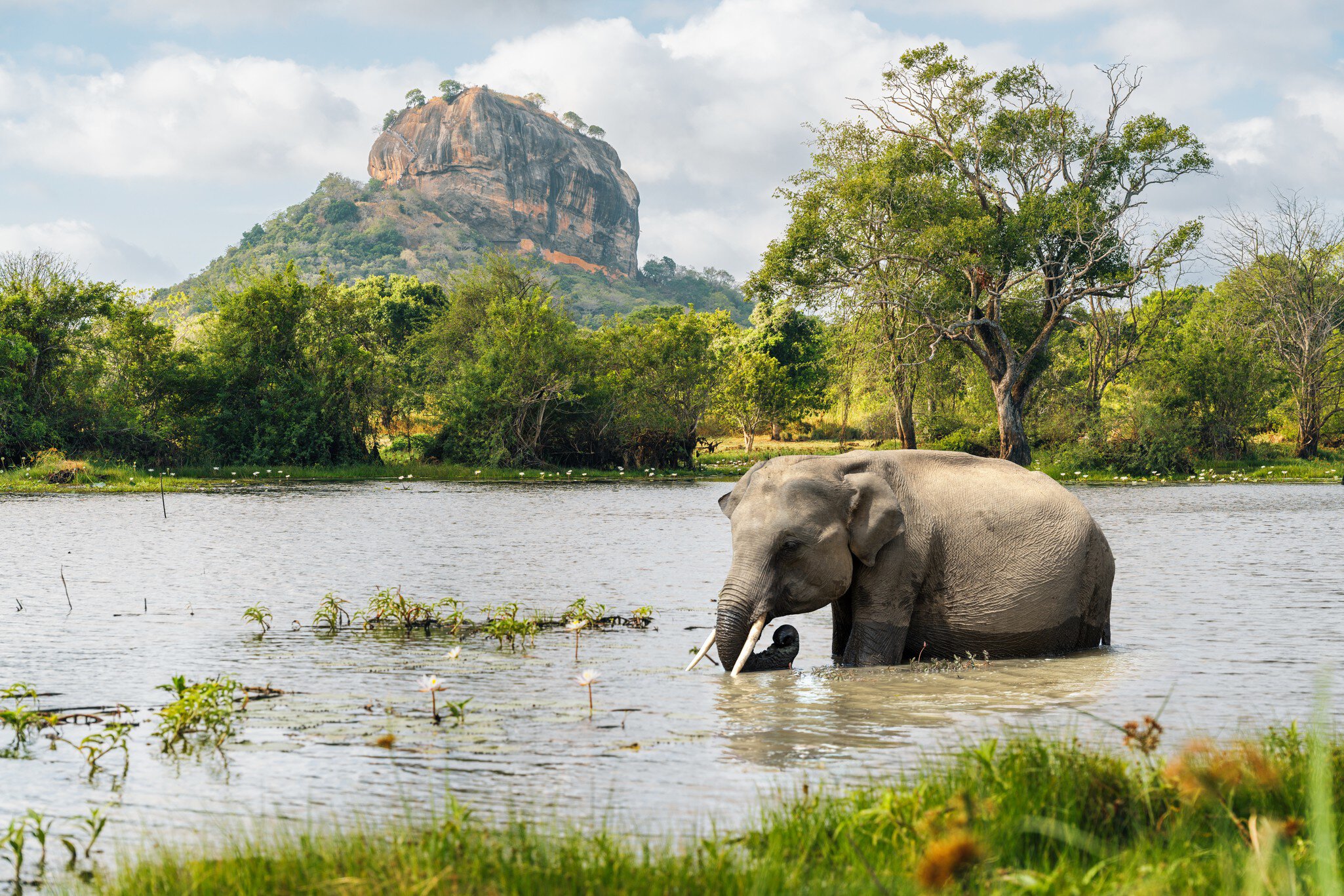 16-Day Sri Lanka Tour private Sri Lanka tour